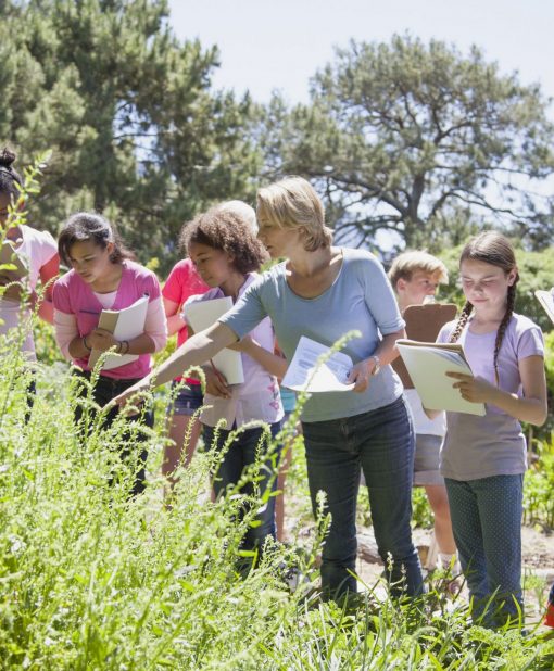 children-on-a-school-field-trip-in-nature-528905069-5c1d9beec9e77c00010b4c9b children-on-a-school-field-trip-in-nature-528905069-5c1d9beec9e77c00010b4c9b