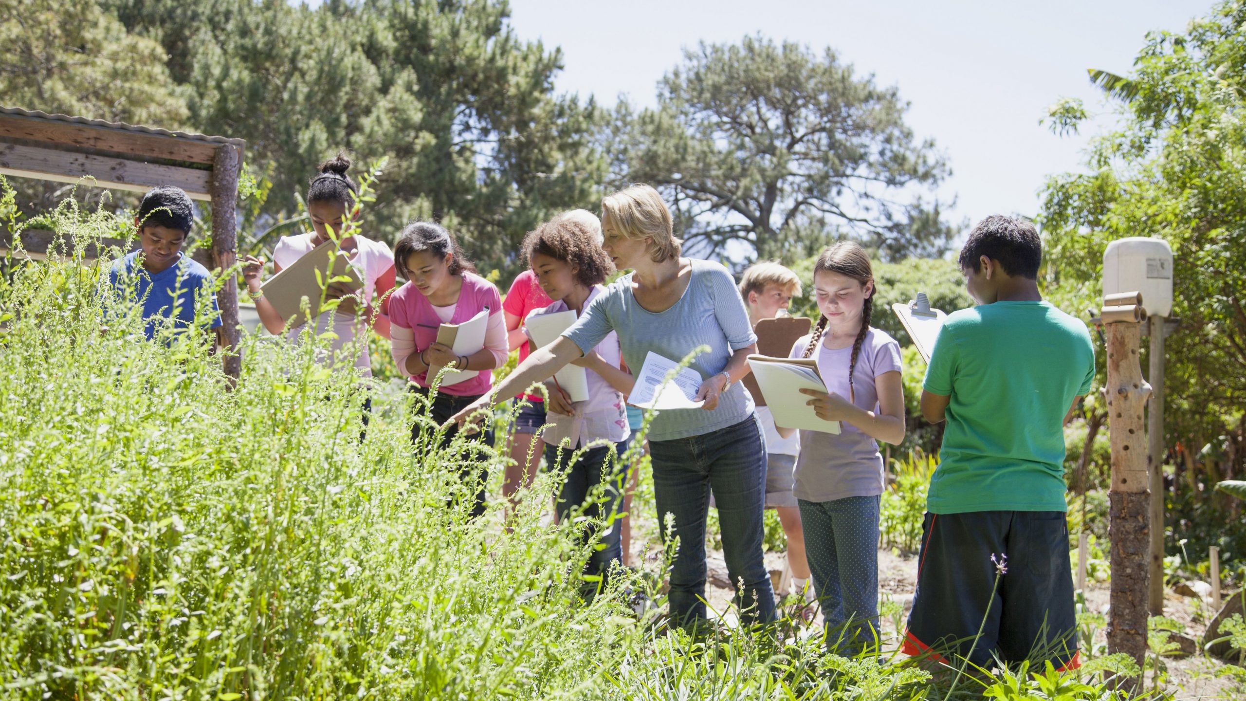 children-on-a-school-field-trip-in-nature-528905069-5c1d9beec9e77c00010b4c9b